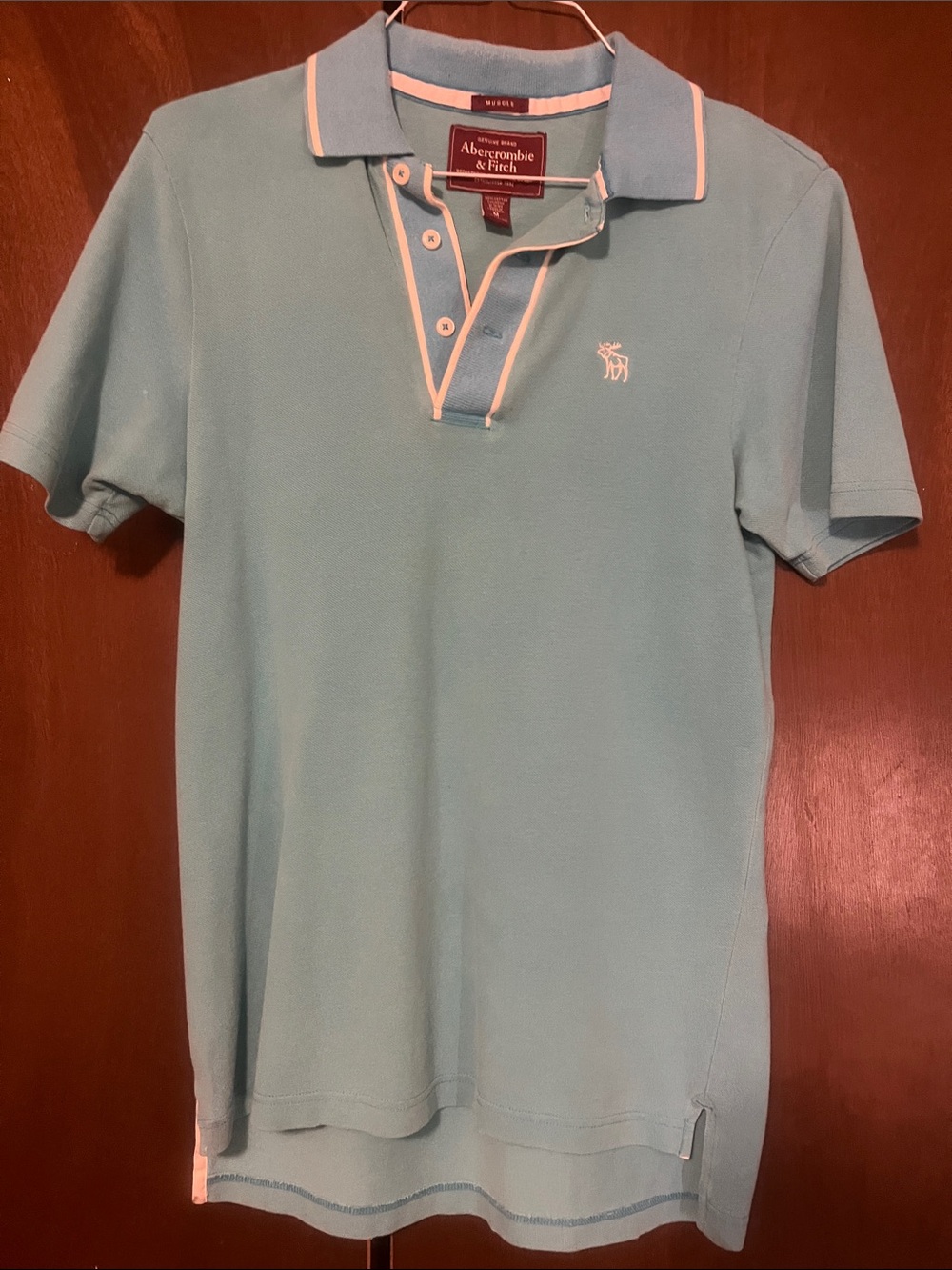 Abercrombie & Fitch Light Blue Polo with Cream Trim